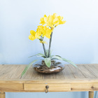 Arranjo De Amarílis Amarelo No Vaso De Vidro | Formosinha